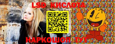 гашик Краснодар