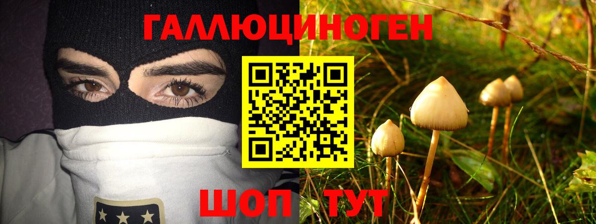 Галлюциногенные грибы Magic Shrooms Удомля
